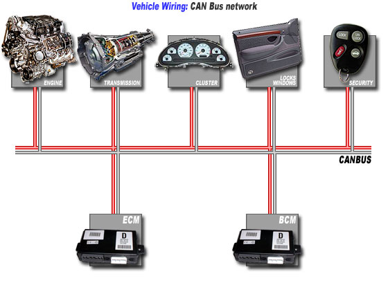 Automotive CANBUS Diagram - Thecodeprogram