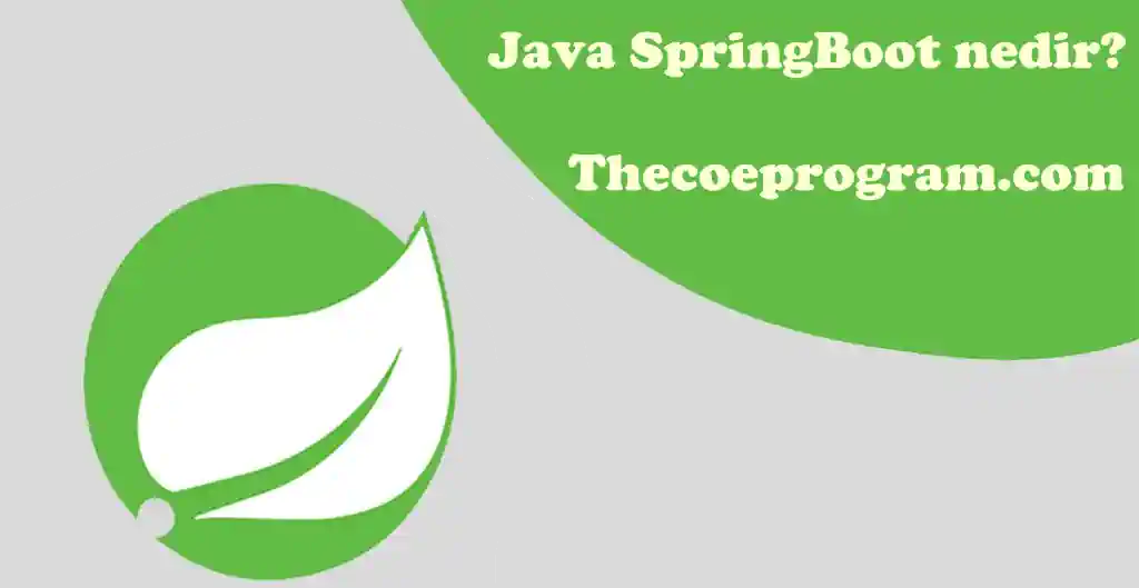 Java SpringBoot nedir?