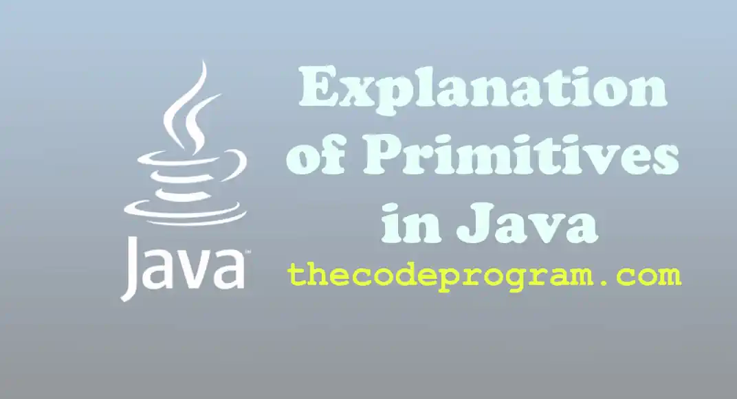 Explanation of Primitives in Java